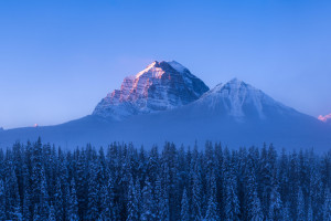 赛程过半！暗区突围职业杯，格局未定谁是最大黑马