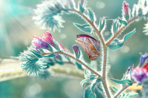 一周双赛!苏超争冠白热化,豪门恩怨再升级